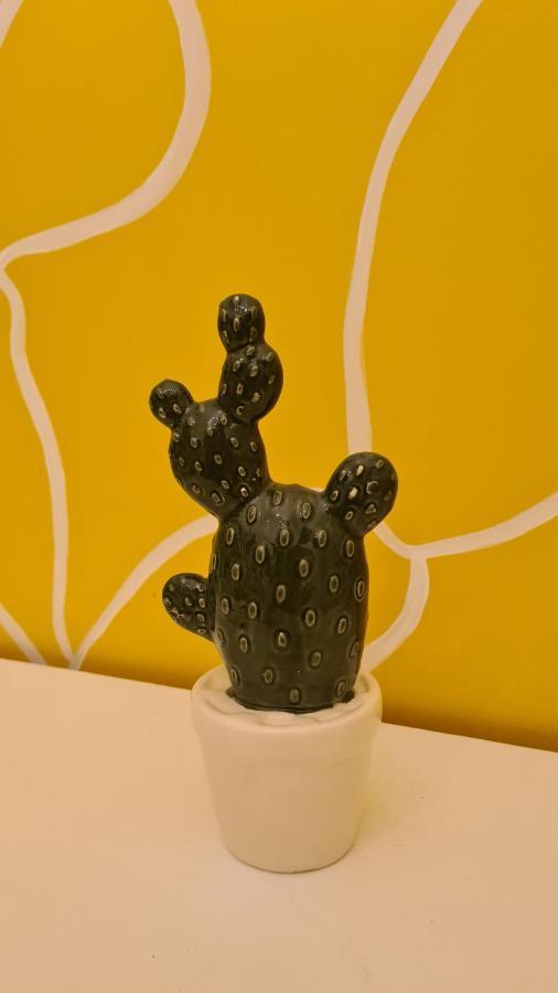 巴勒莫Casa Cactus Sapiddu公寓 外观 照片